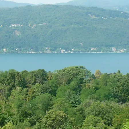 In Cima Al Bosco *