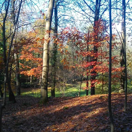 In Cima Al Bosco